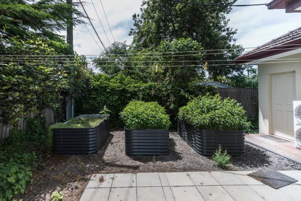 3 Bdrm 2 Bthrm House Close To Canberra Cbd & Anu Eksteriør billede